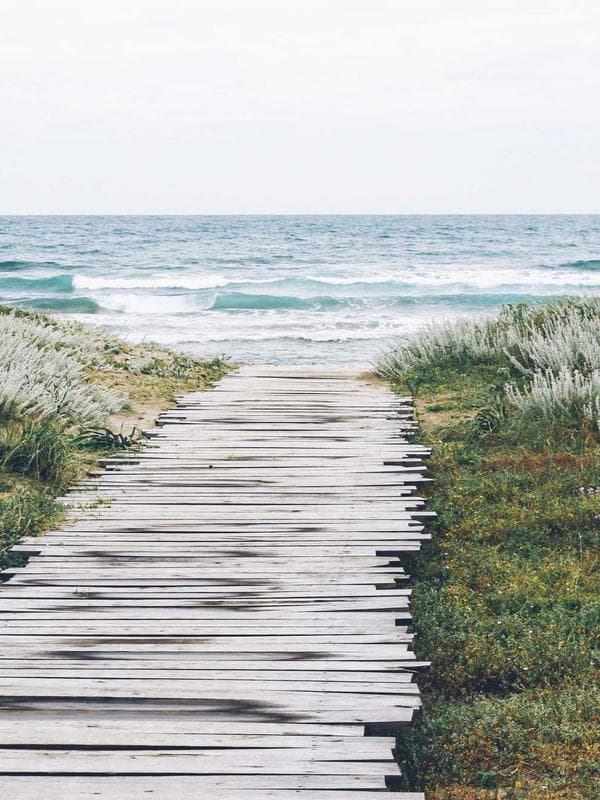 Professional plumbing services